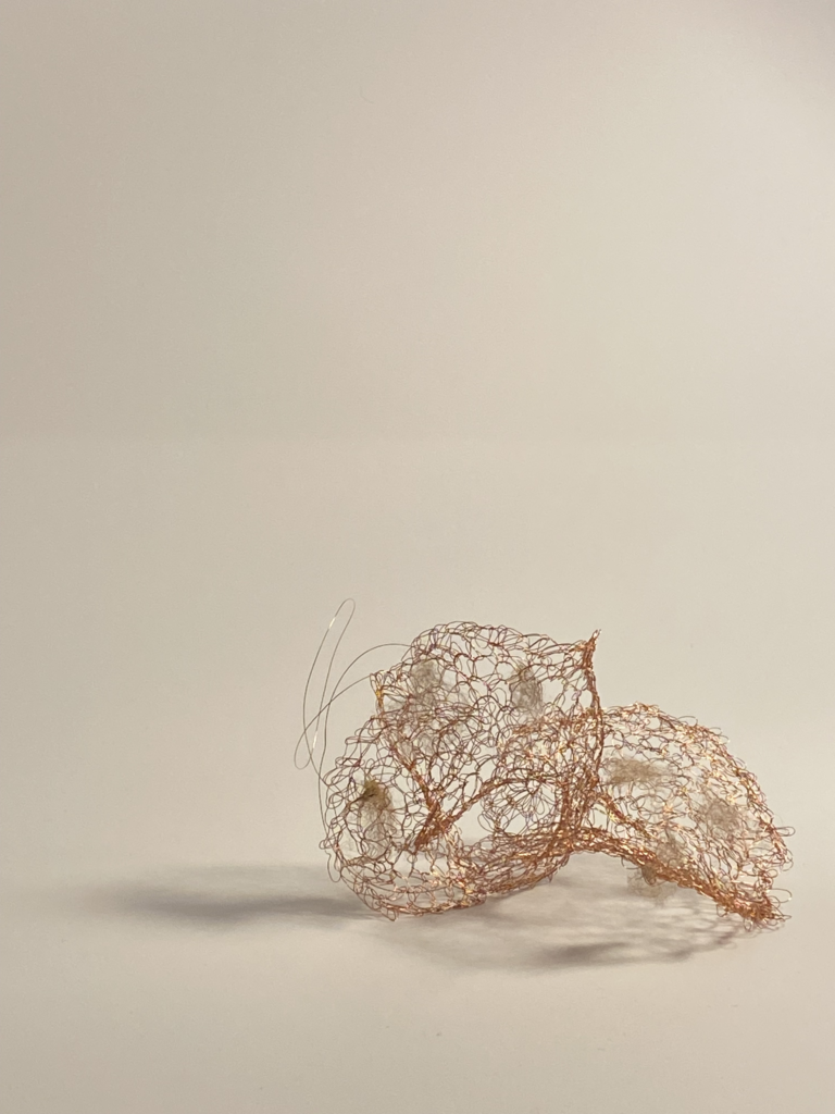 Alex Pillen Wire, wool 2